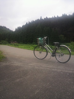 �T�C�N�����O