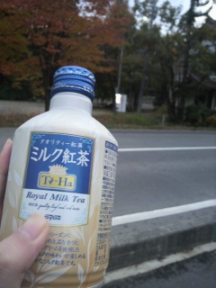 ���Ɣ���