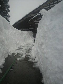 ���c����