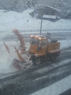 �����ł�