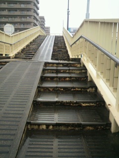 �����Ă���