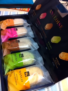 ���B�N�g���J�����