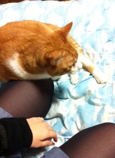 �_�ɂ�ɂ�[��^