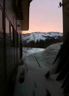 �v���Ԃ�Ɏʃ�