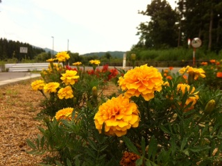 �Ă̂����̂܂�