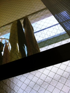 �����V�C